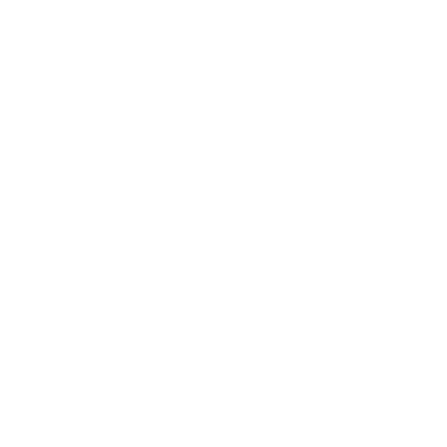 Digital Wolf
